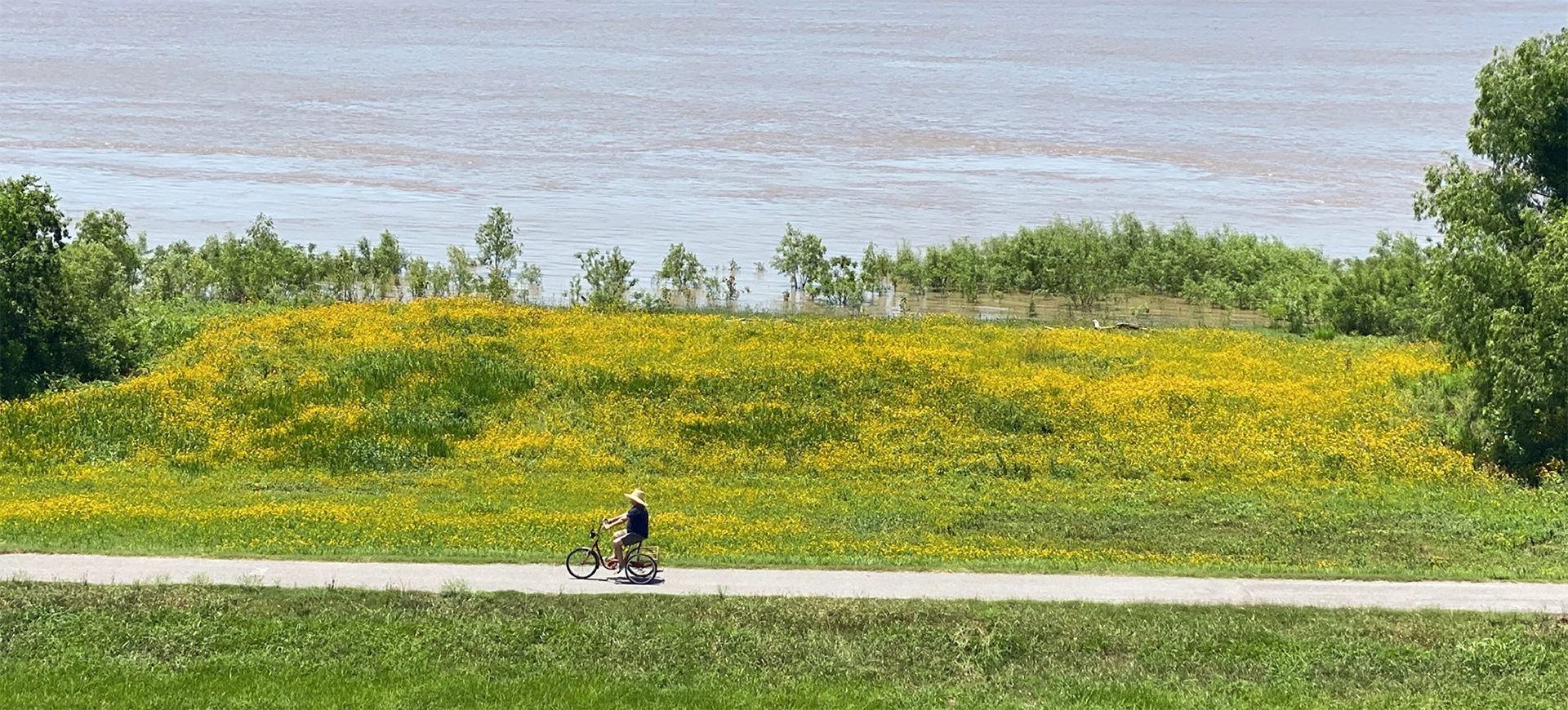 St. Bernard Parish Blog