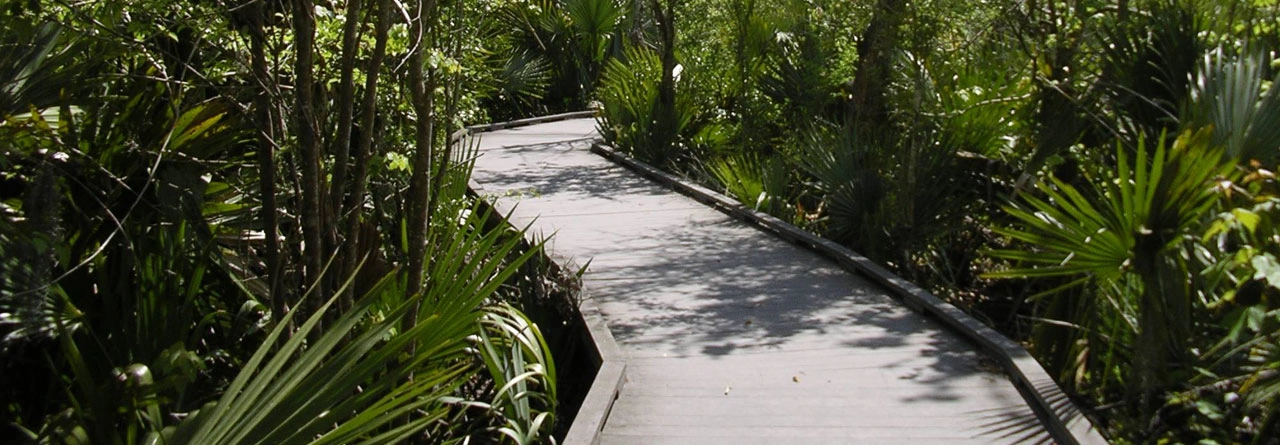 stp_jeanlafittenationalhistoricpark